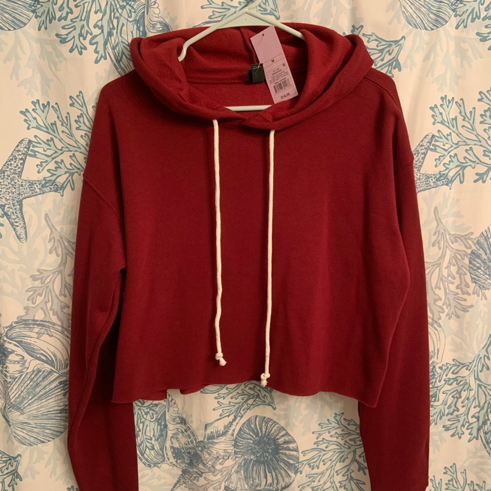 BNWT Wild Fable Cropped Hoodie